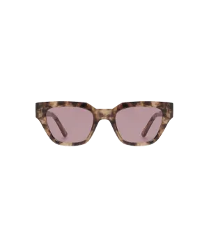 Kaws Sunglasses - Brown