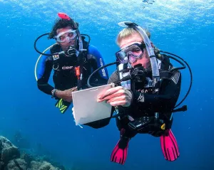 PADI Complete Divemaster Program